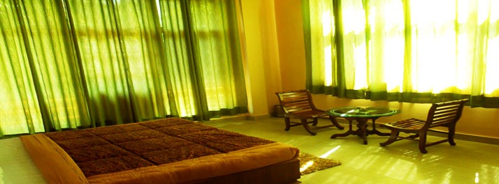 1820/Nature Bloom - Palampur 11.jpg